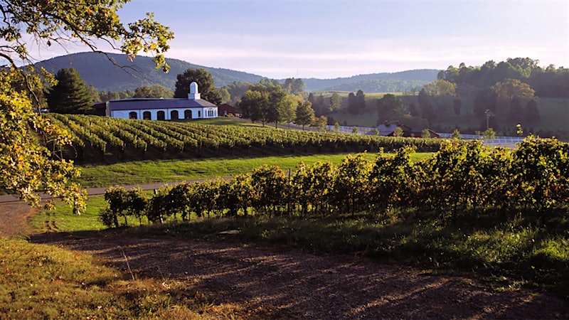 12 Virginia Gems for Wine Lovers