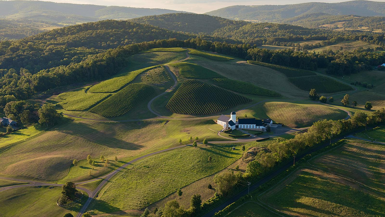 10 Standout Virginia Wines