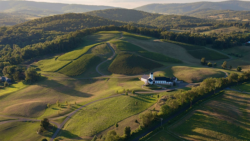 10 Standout Virginia Wines