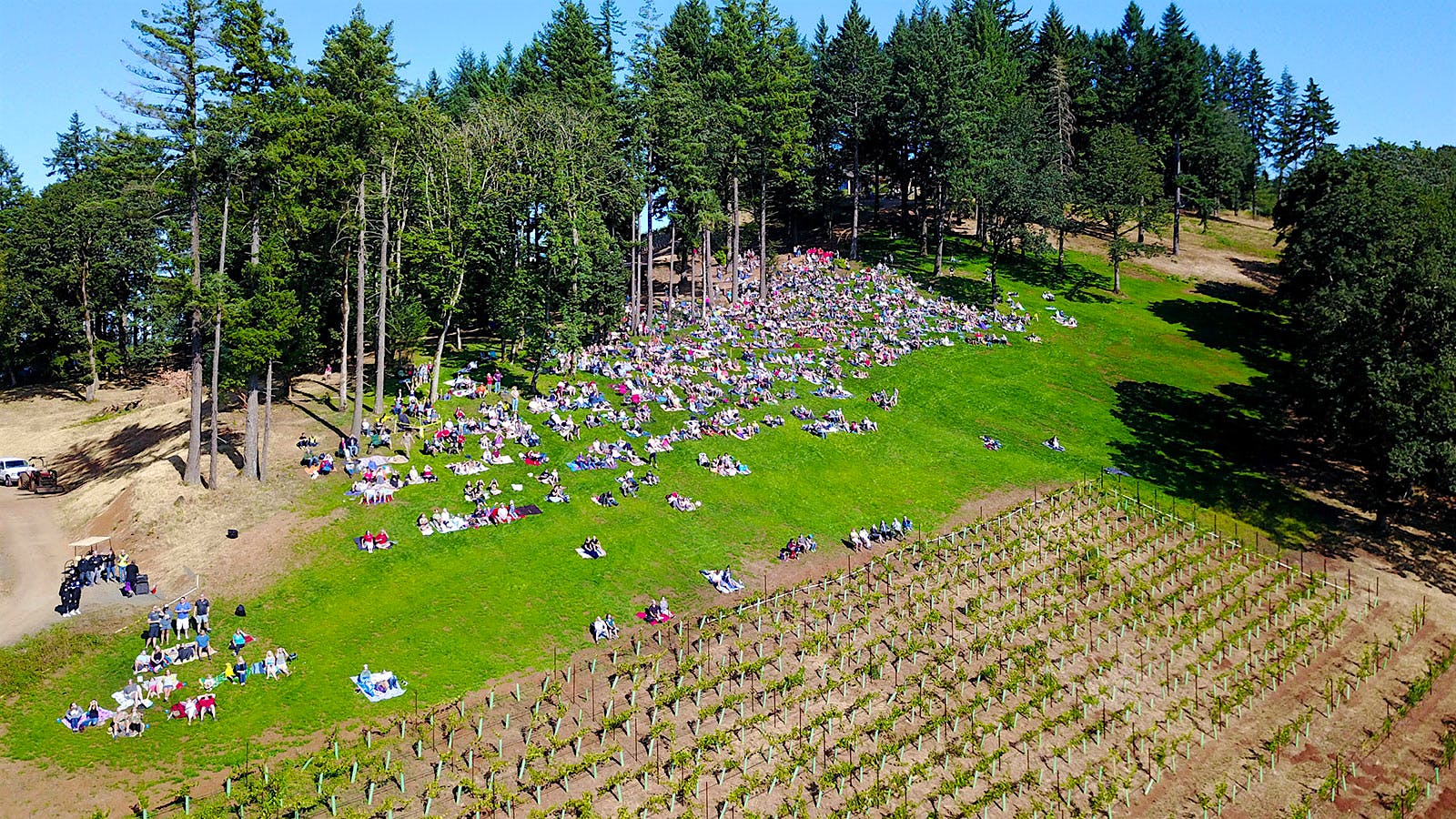 Oregon Wine Totally Overshadowed (by Eclipse)