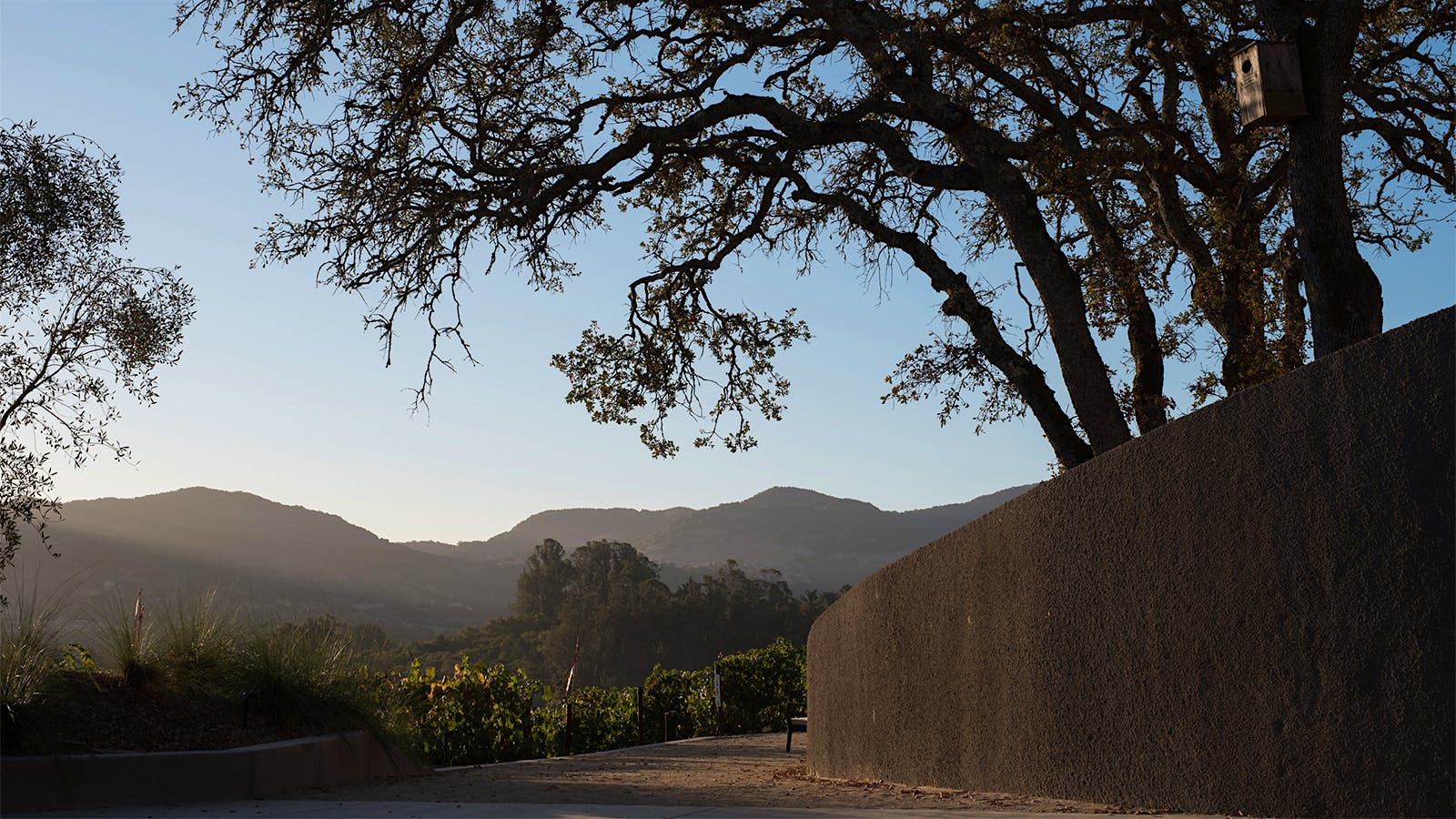 Covert Estate's French Influence