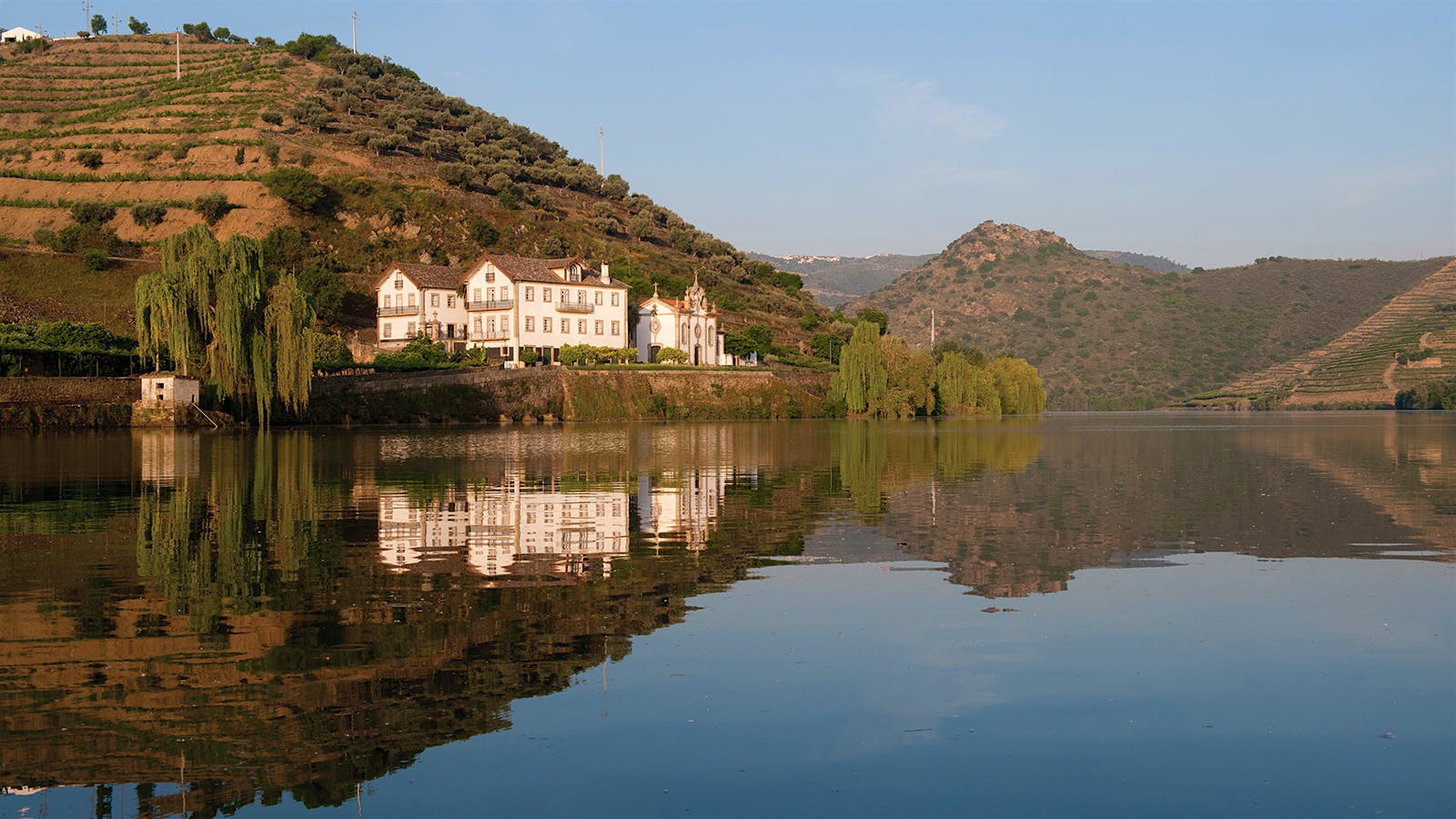 Consensus in the Douro: 2016 Vintage Port