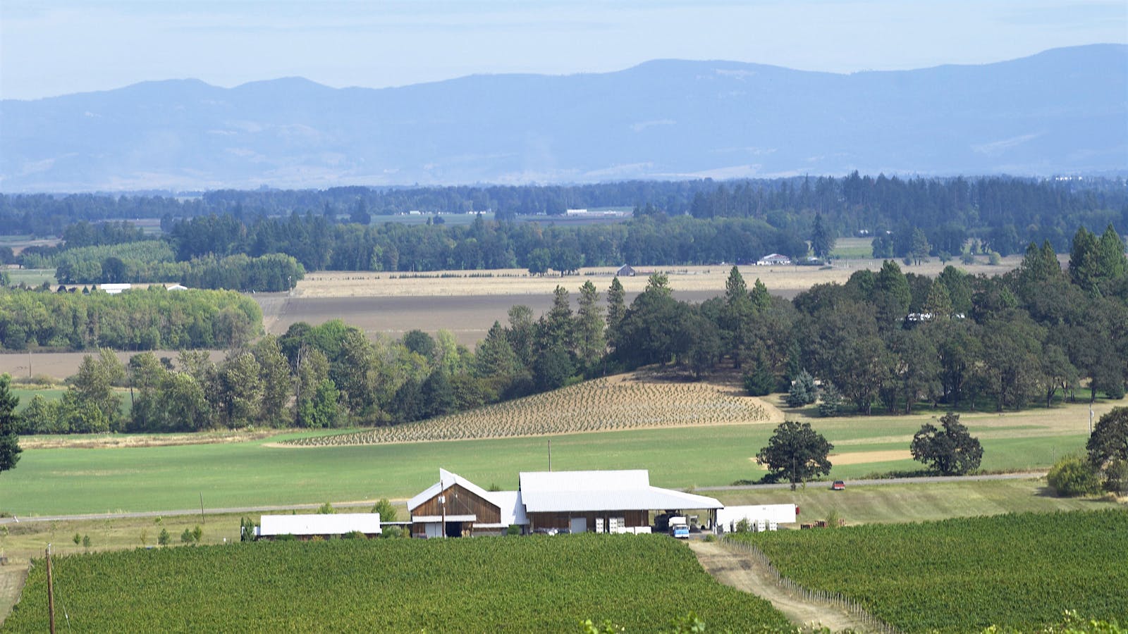 Napa Valley’s Huneeus Vintners Buys Oregon’s BentonLane Winery