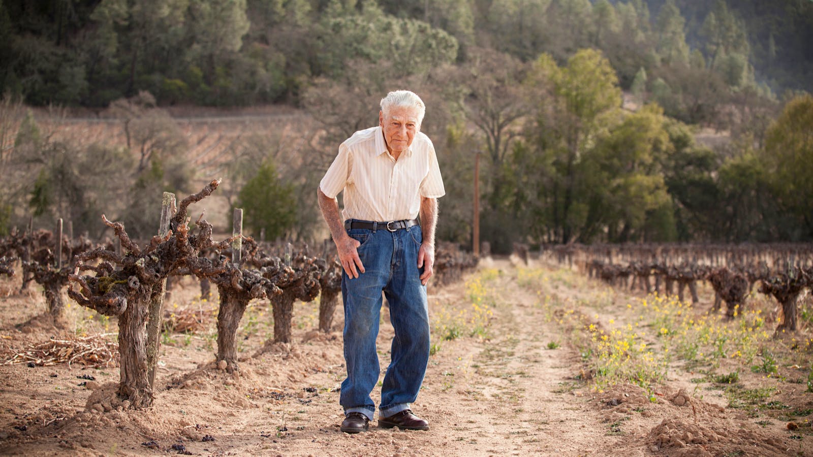 Napa Valley Vineyard Owner Al Frediani Dies at 96