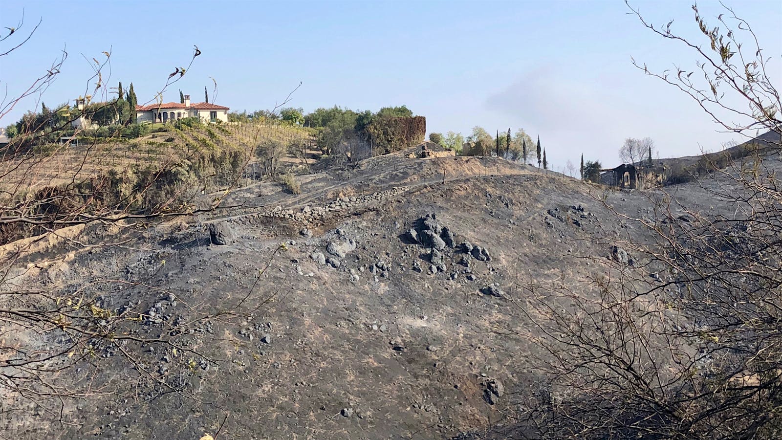 California Wildfires Devastate Malibu Wine Region