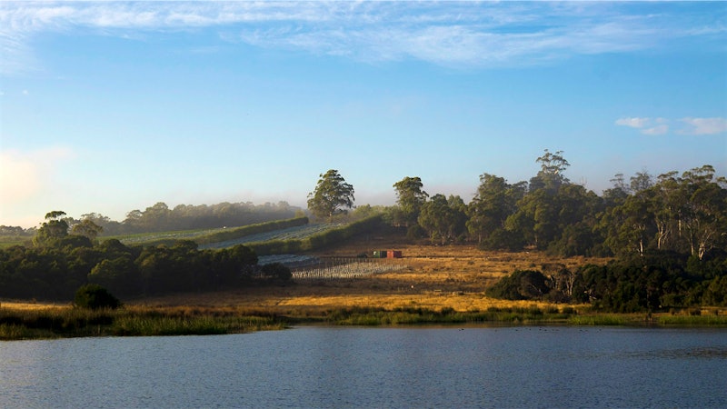 7 Exciting Styles of Australian Wine