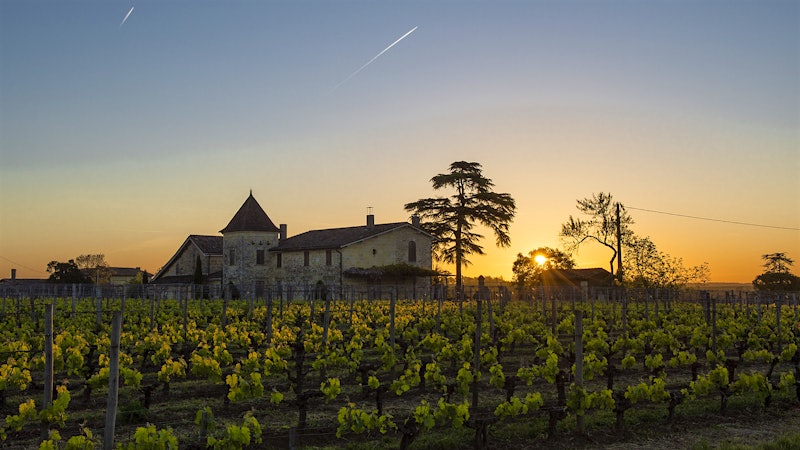 The 2018 Bordeaux Barrels Diary: A Right Bank Bonanza, Part 1