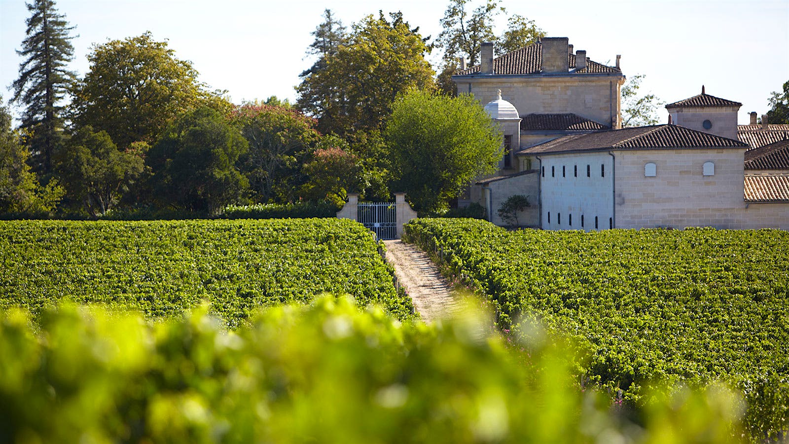 America Loves Bordeaux. Just Not Bordeaux Futures