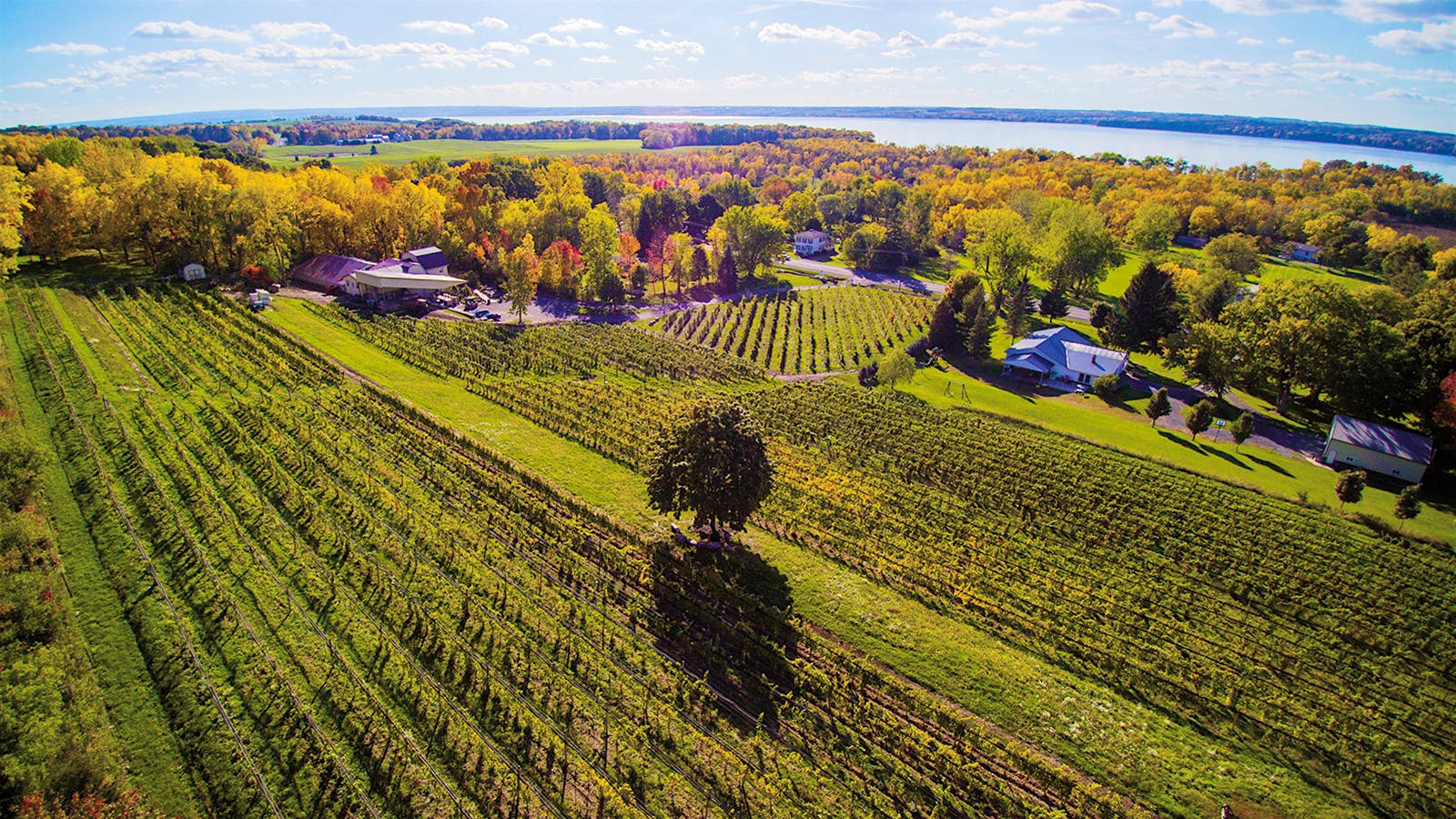 Wine Tip: Get to Know New York's Finger Lakes