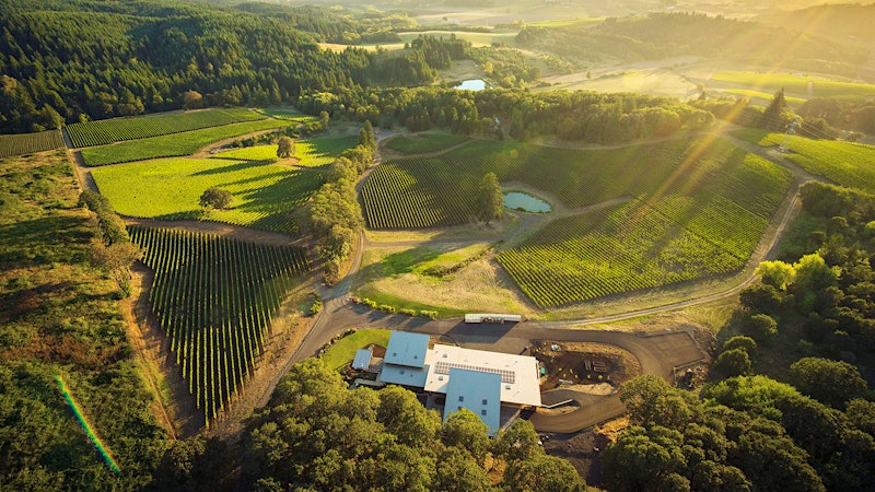 Wine Tip: Everything You Need to Know About Oregon
