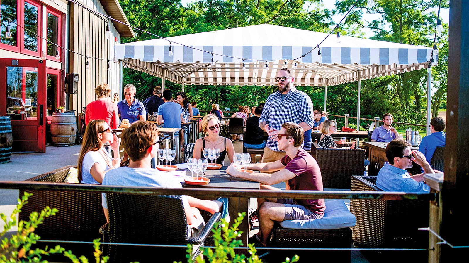 Wine Tip: Discover Long Island Wines This Summer