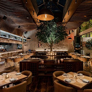 Toca Madera, Restaurant in Scottsdale