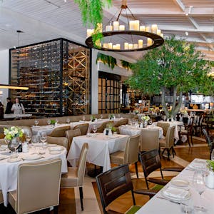 Novikov, Restaurant in Beverly Hills