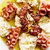 Warm octopus and fresh mozzarella