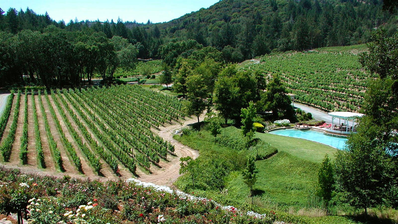 The Diamond Creek School of Cabernet
