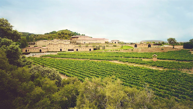 8 Riojas with Time on Their Side