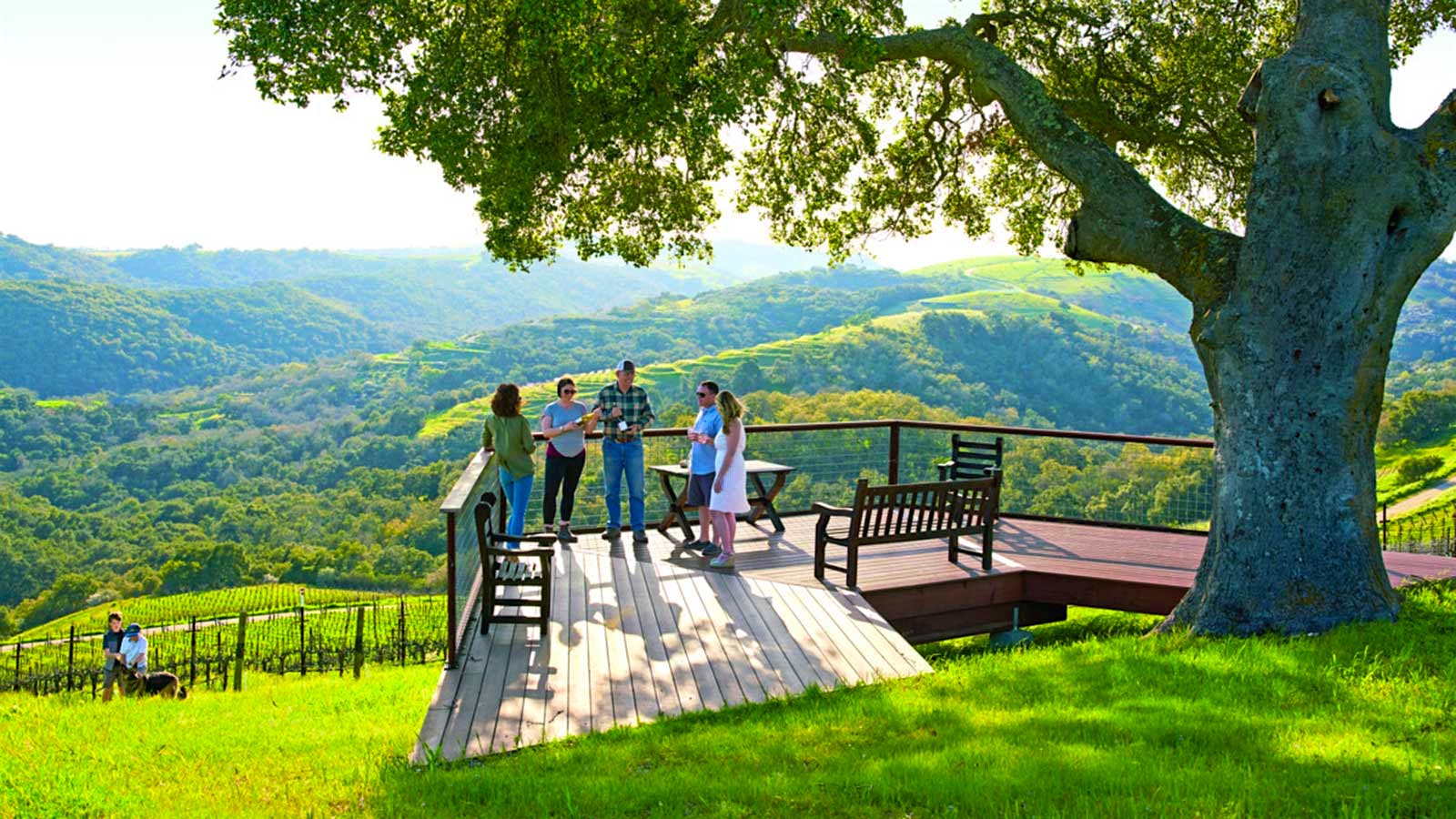 A group of tasters stand on a patio with a panoramic outlook in the background