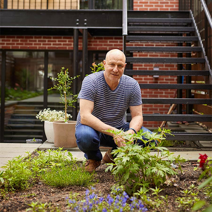 Tom Colicchio outside of his building, in his herb and flower garden. Photo by Ty Cole