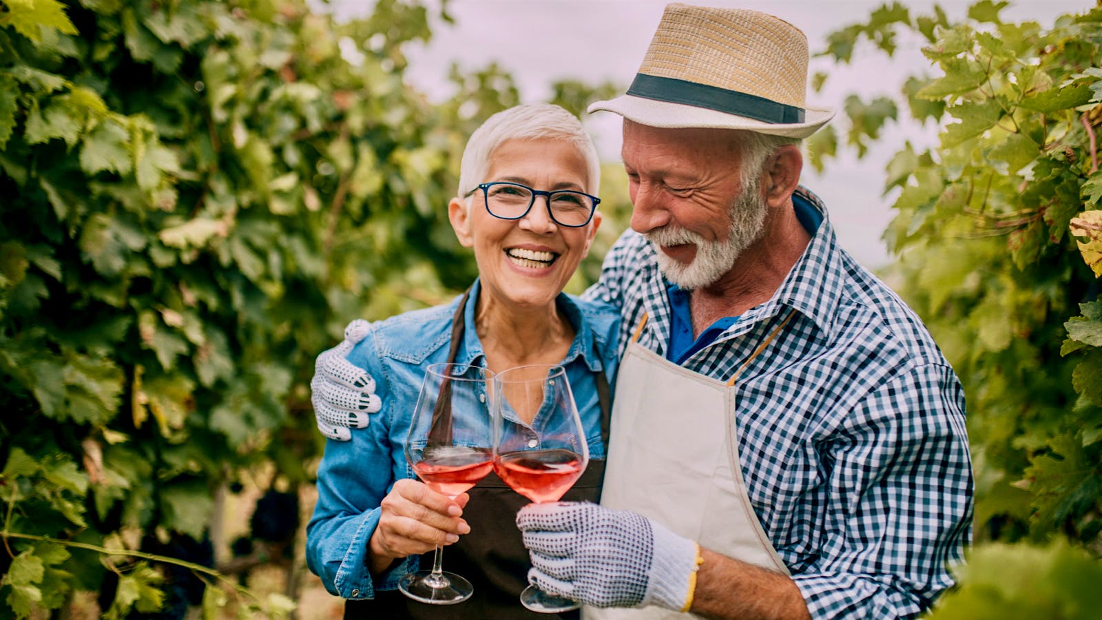 Moderate Wine Drinkers Live Longer, Study Shows