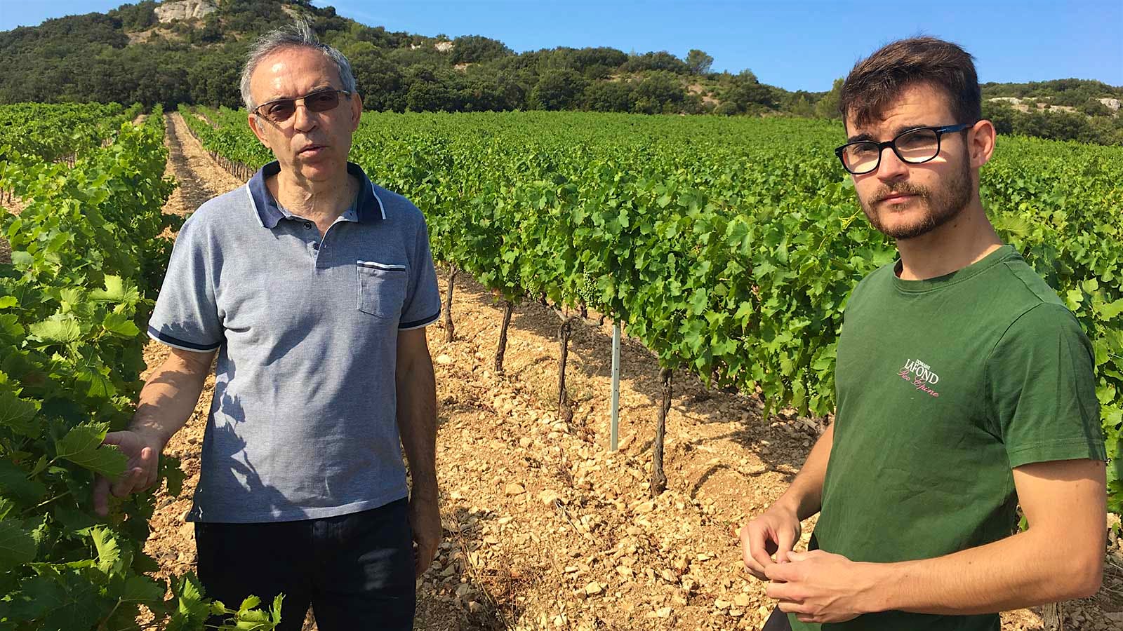 Pascal Lafond and his son François stand in a sunny vineyard in the Vestides section, with light-colored limestone soil and hills in the background.
