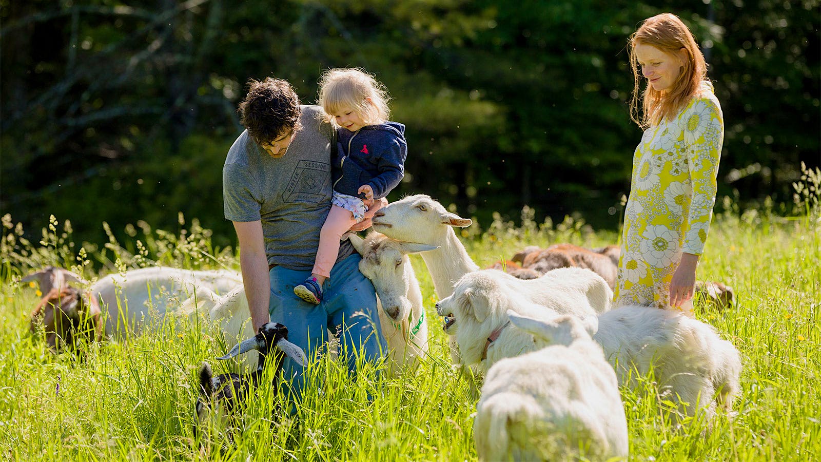 The owners with their young daughter, several goats and sheepdog