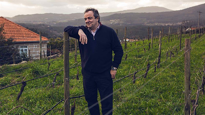 Portuguese Wine Company Esporão Looks to Vinho Verde, Buying Quinta do Ameal
