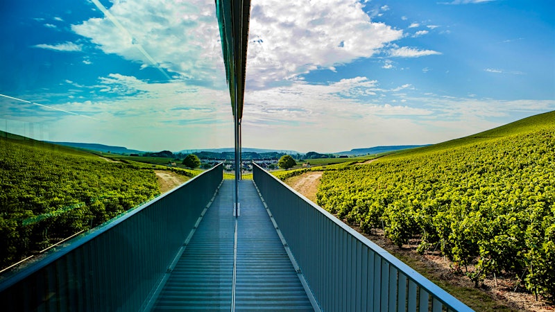 8 Bubblies: California vs. Champagne Showdown