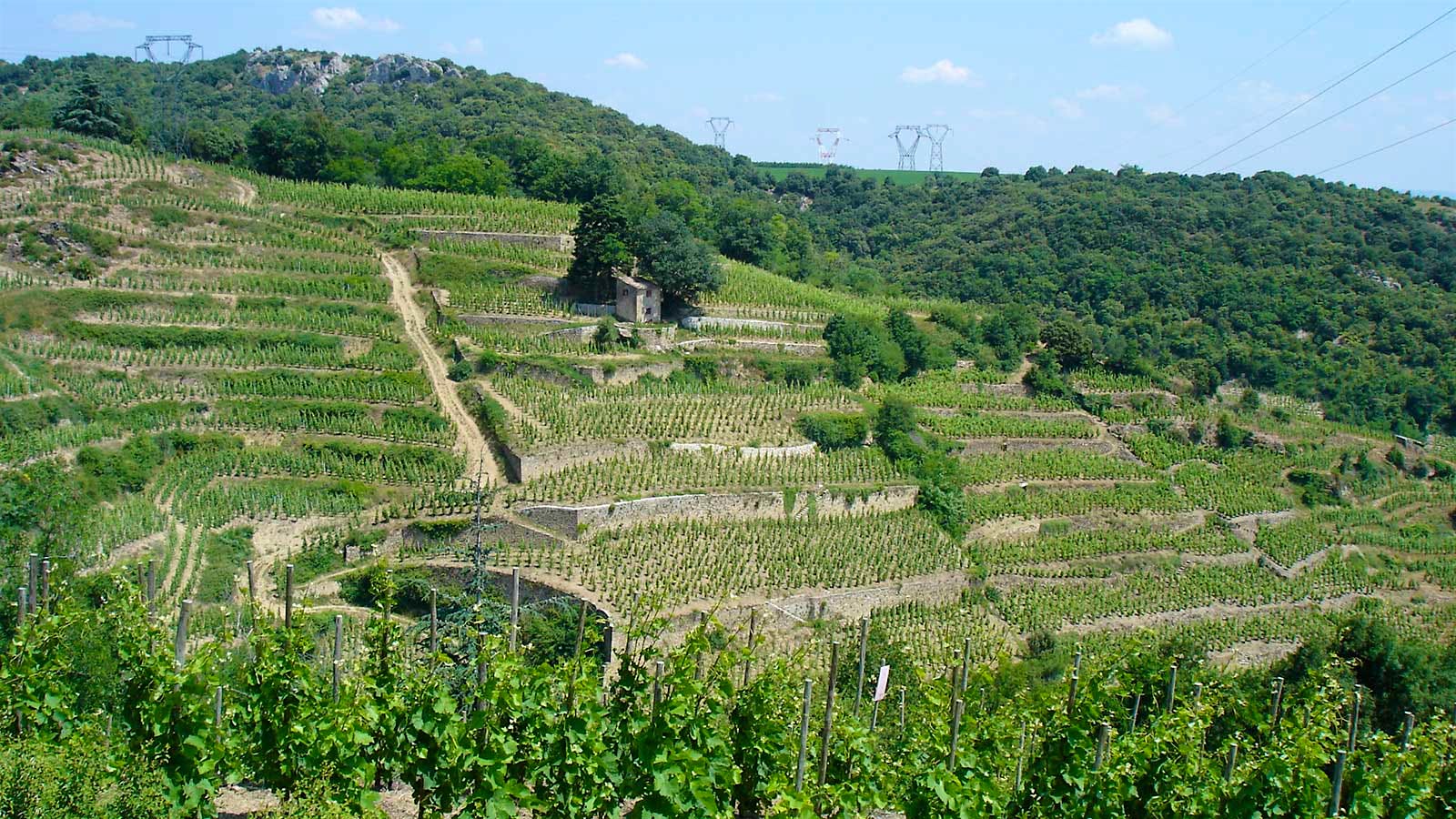 Insider Weekly: October 30 Edition