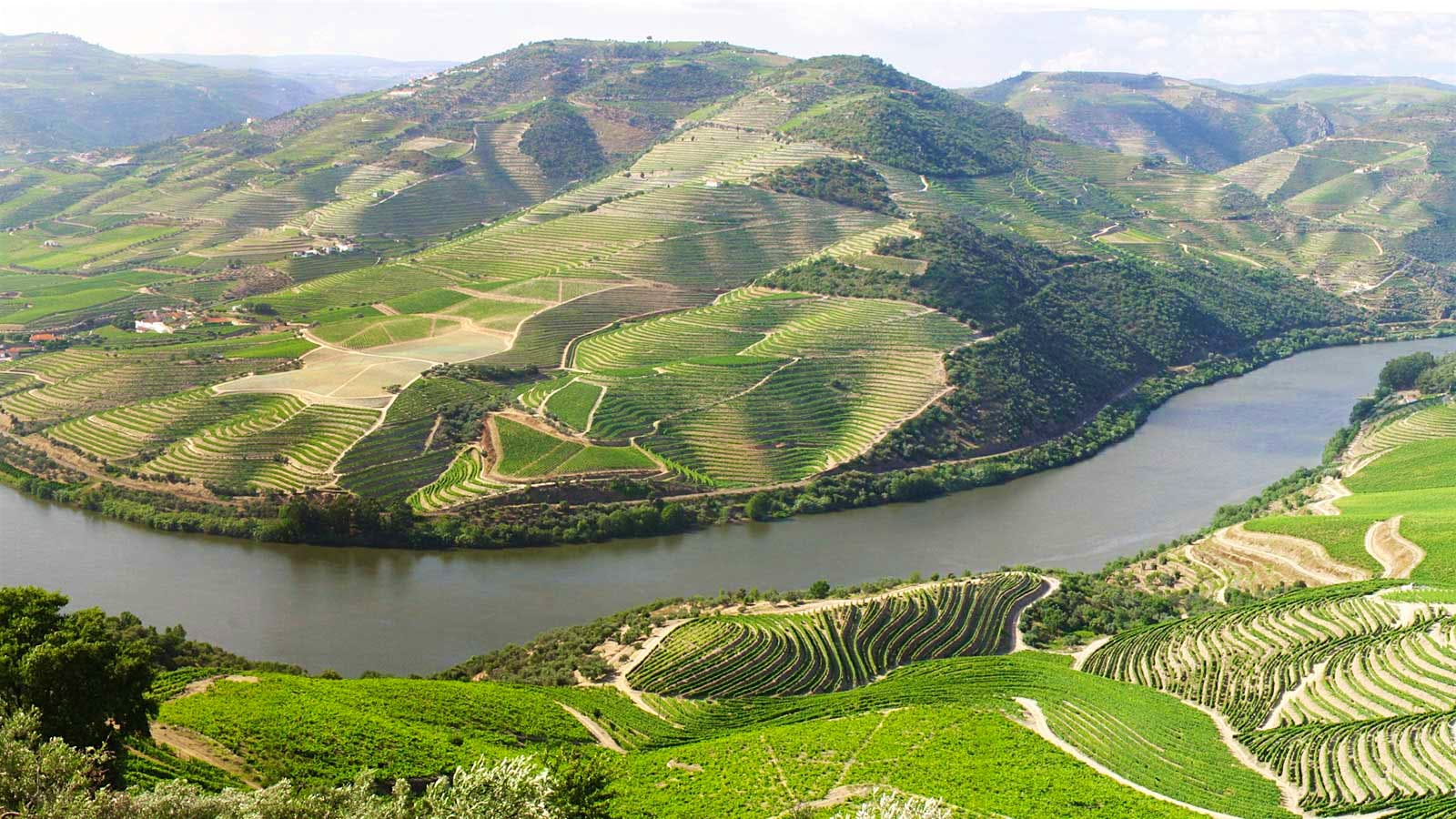 Insider Weekly: October 23 Edition