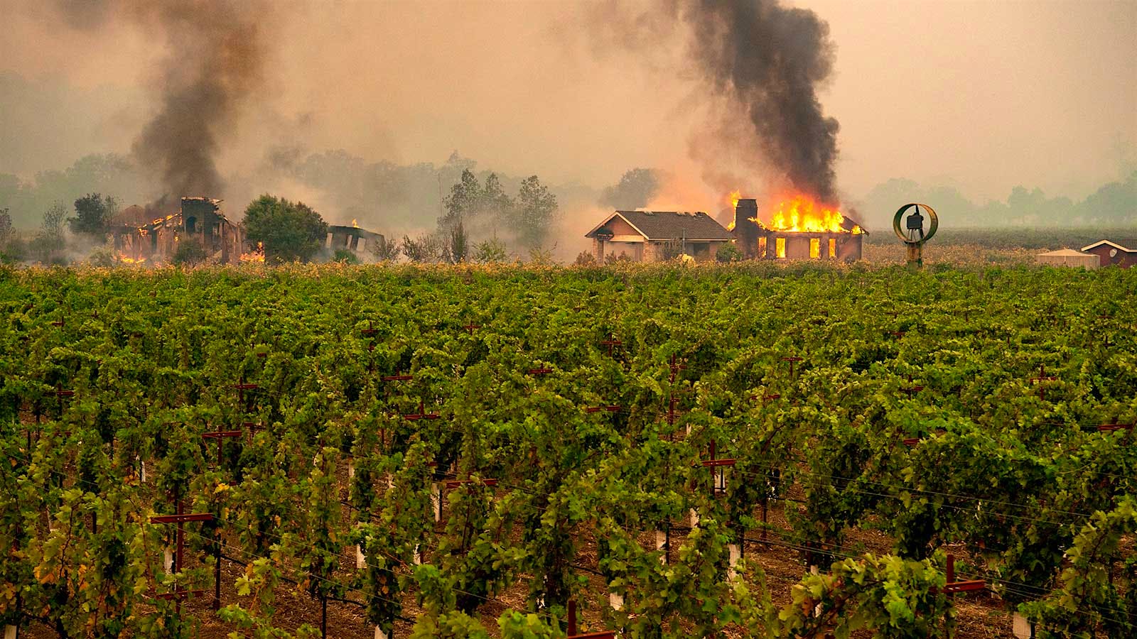 Wineries Shuttered, Vintners Worried by Sonoma Wildfire
