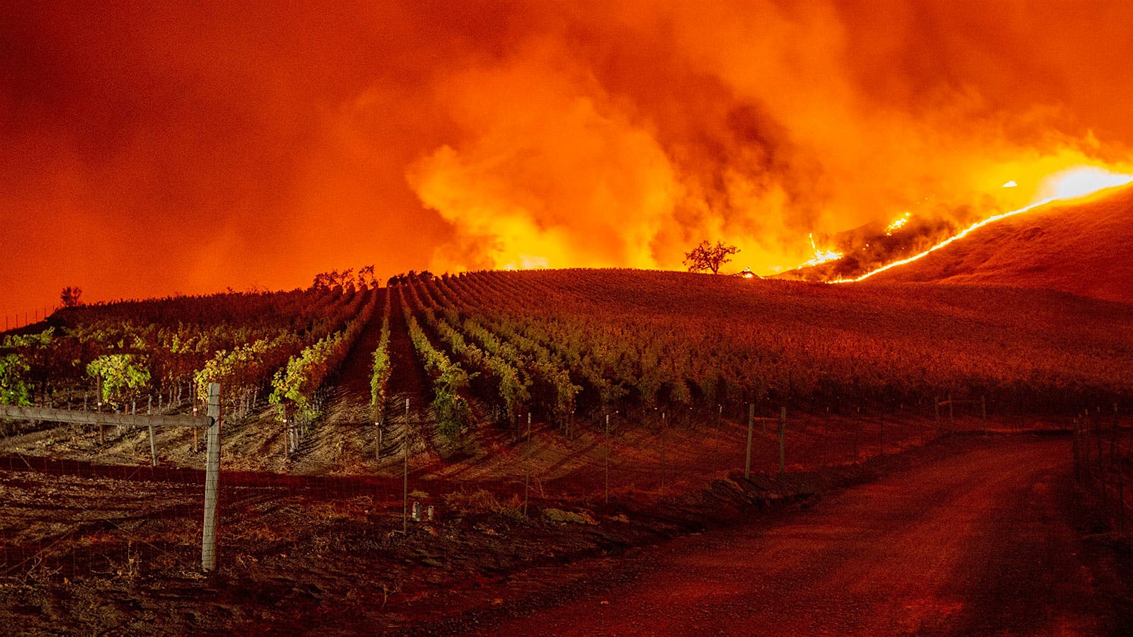 Wildfire Scorches More than 16,000 Acres in Sonoma Wine Country