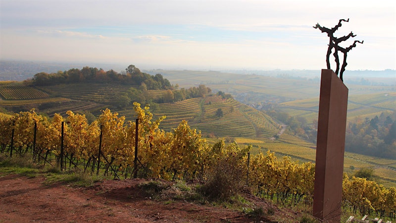 10 Vintages of Top German Rieslings: Ökonomierat Rebholz