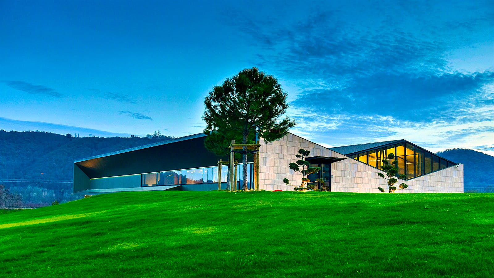 Insider Weekly: November 20 Edition