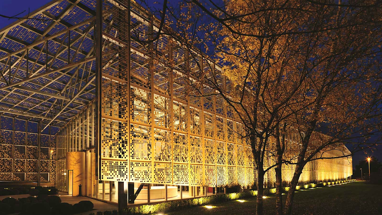 Insider Weekly: October 16 Edition