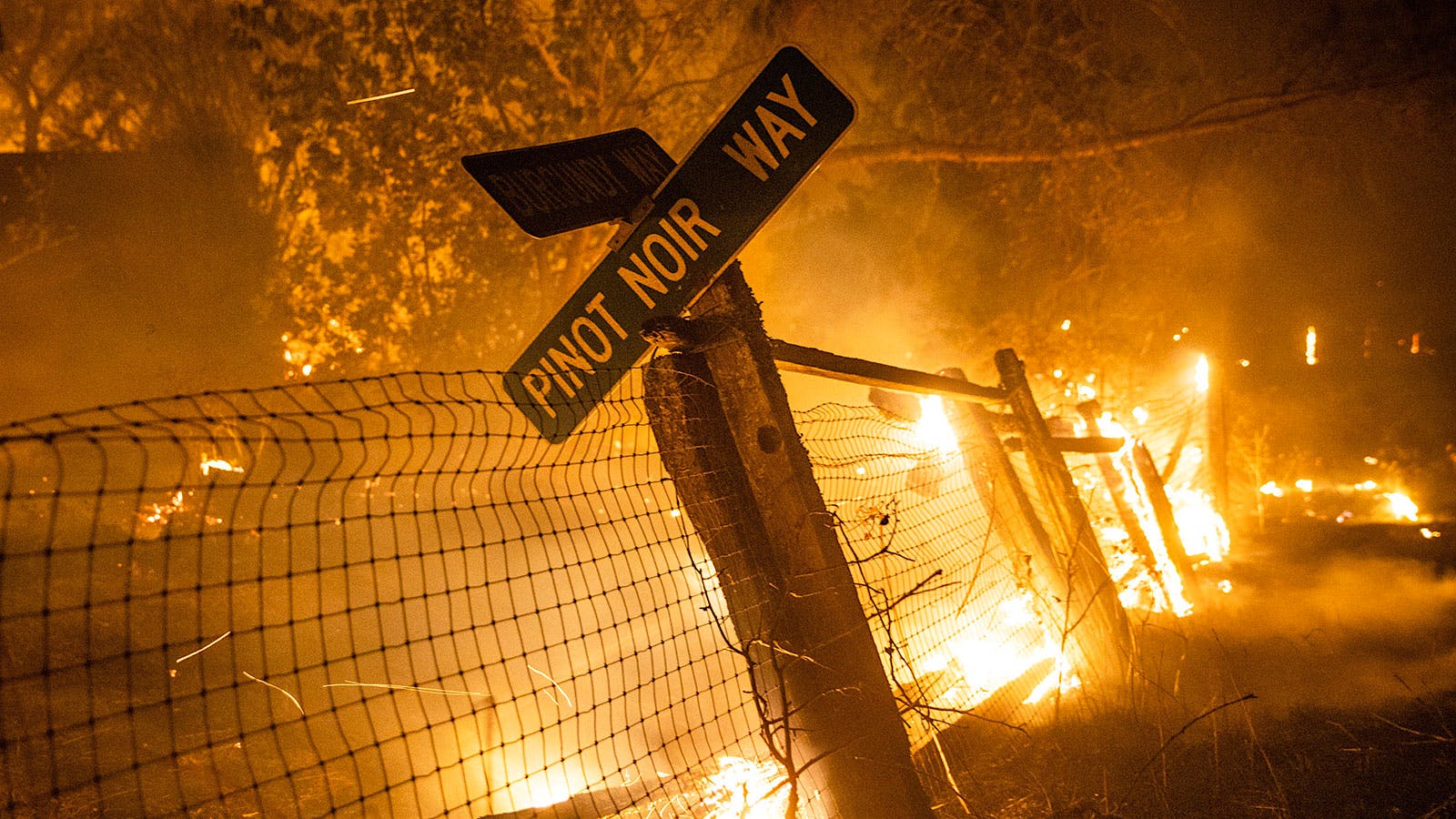 The Kincade Fire burns a fence and road sign in Windsor, Calif. on Sunday, Oct. 27, 2019.