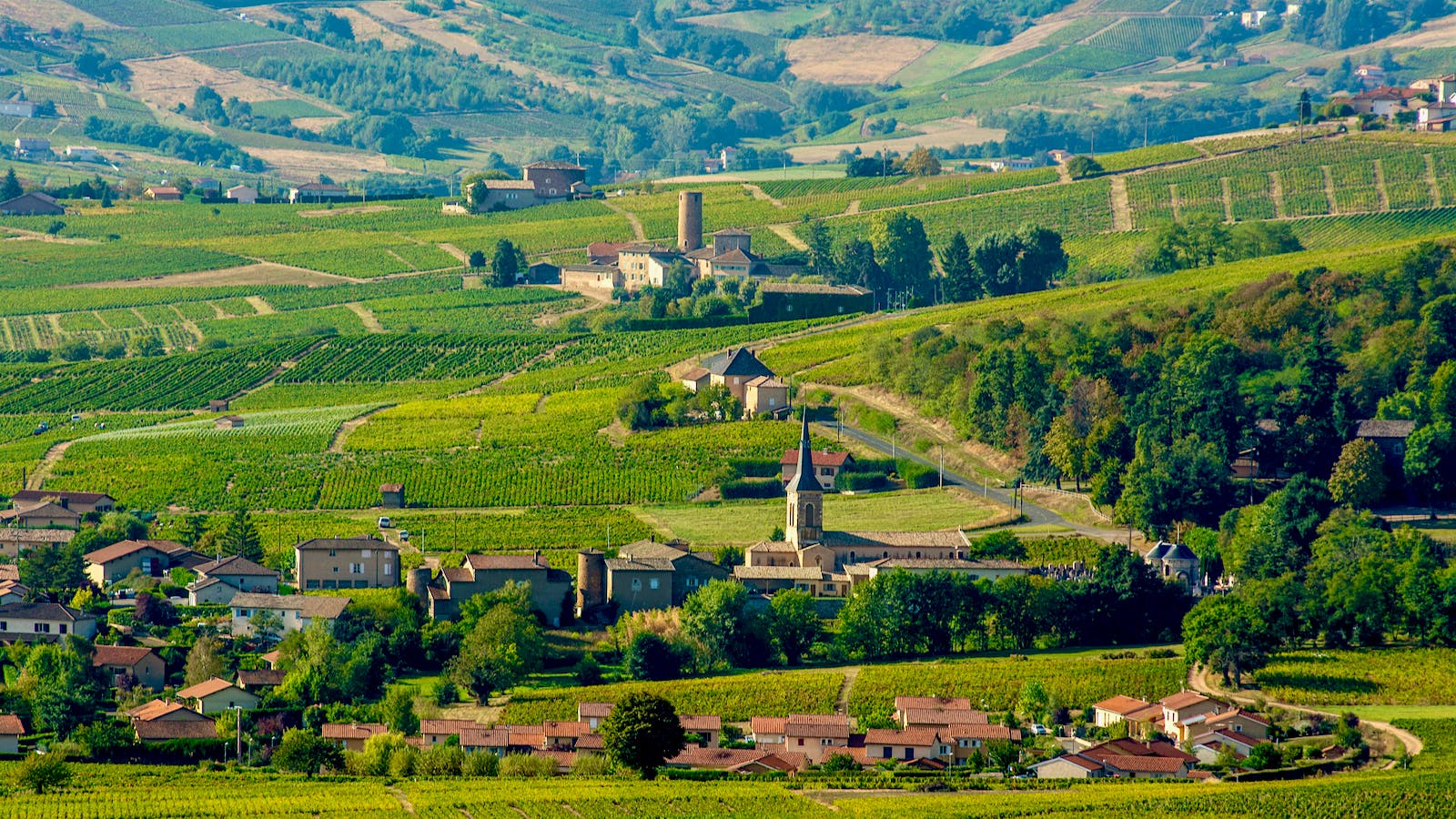 Beaujolais