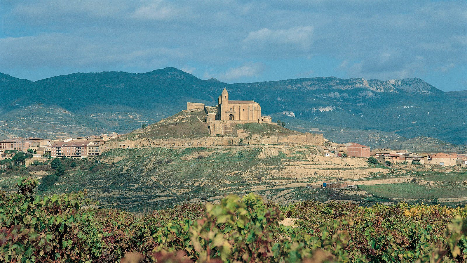 Insider Weekly: December 4 Edition