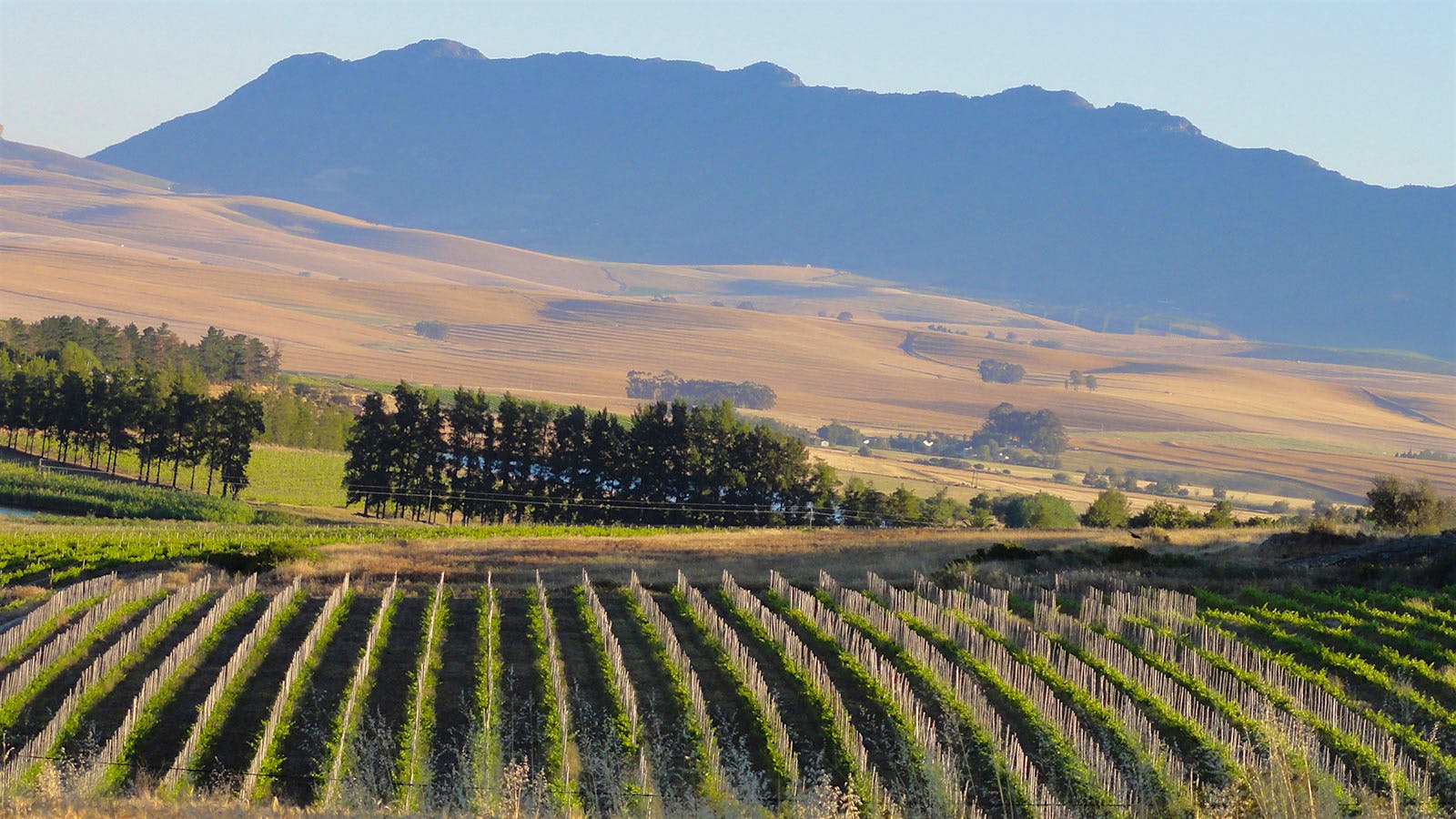 Insider Weekly: December 11 Edition