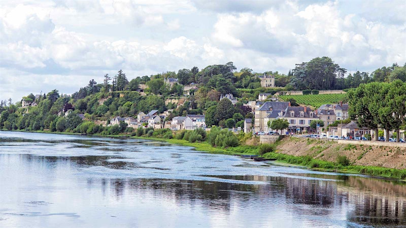 11 Diverse Wines from the Loire Valley for $20 and Under