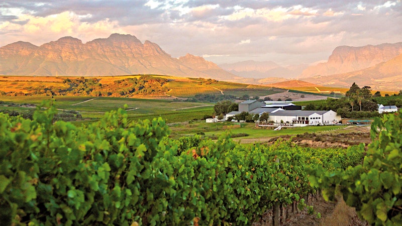 9 Refreshing South African Whites for $25 or Less