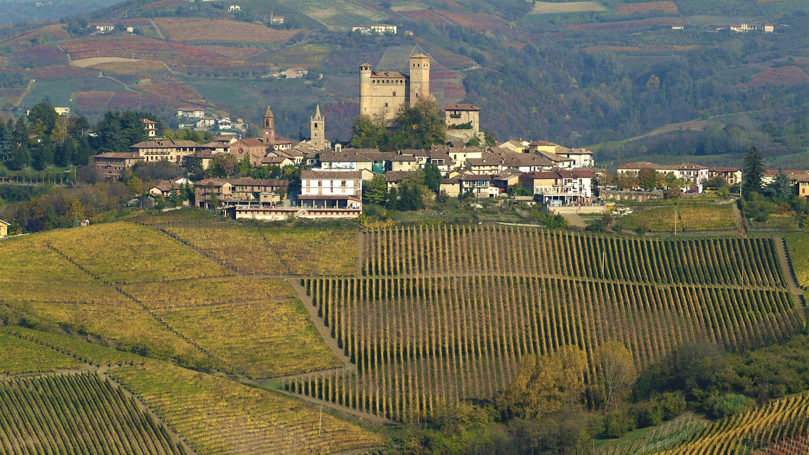 Insider Weekly: January 15 Edition