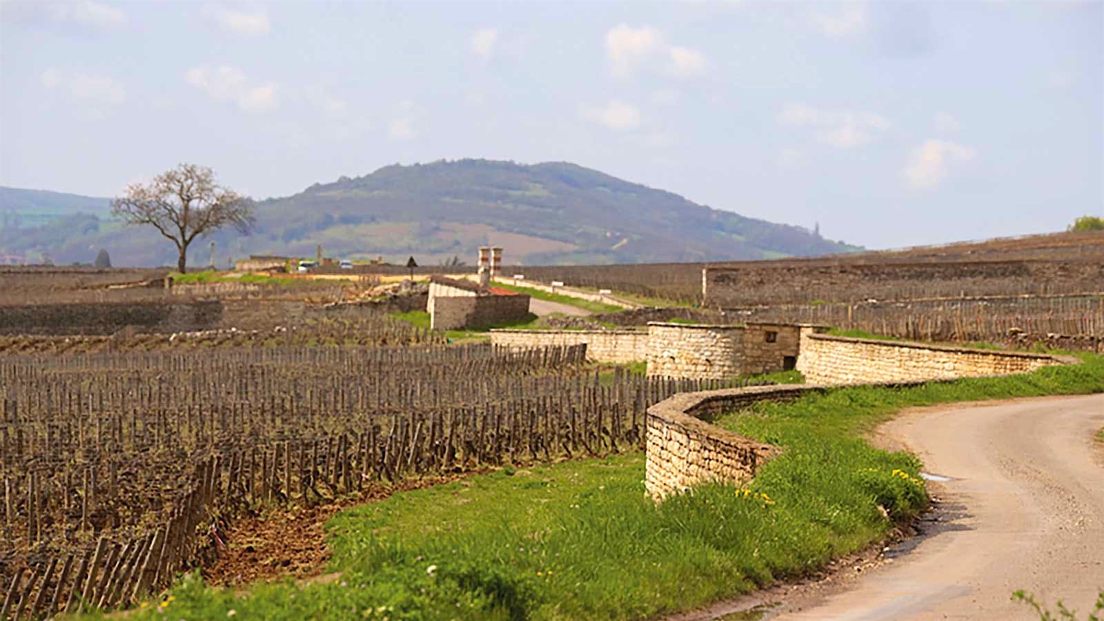 Insider Weekly: January 8 Edition