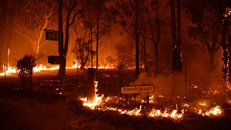 Wildfires Ravage Australia