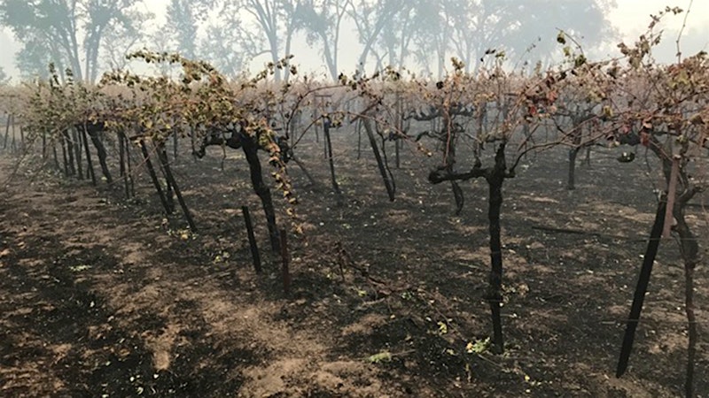 California Wineries Sue Insurance Firms Over Smoke-Tainted Wines