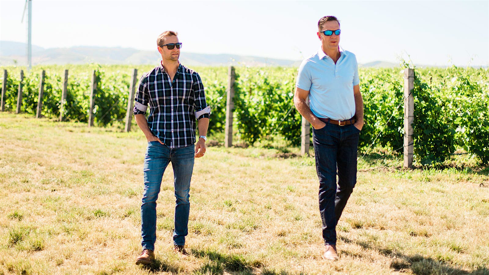 Drew Bledsoe wine? Retired athletes go into vineyard business