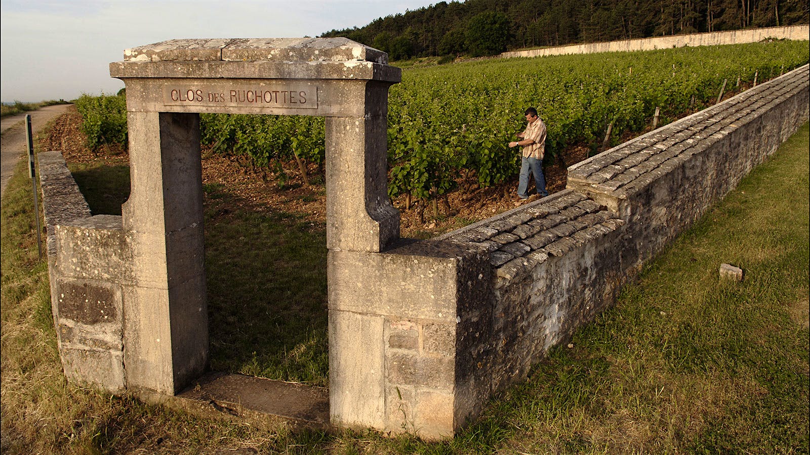 The Gold Standard of Gevrey-Chambertin