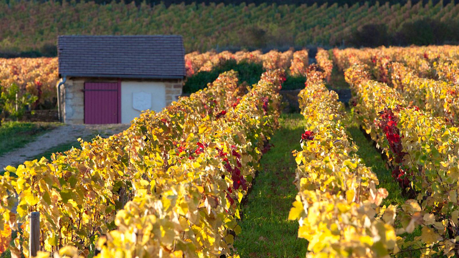 Insider Weekly: February 26 Edition