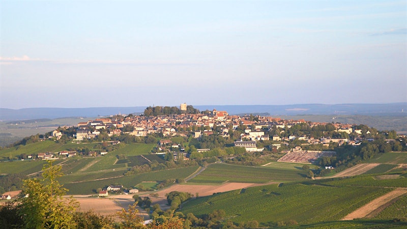 8 Distinct French Whites Up to 92 Points