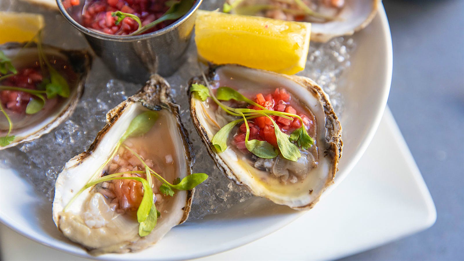 Oysters on ice at AVA Social