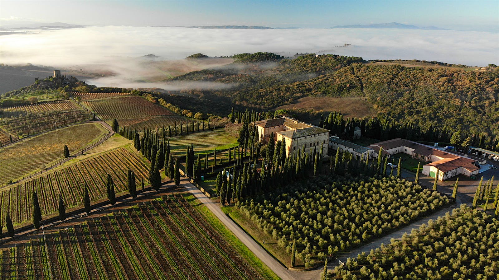 Insider Weekly: March 25 Edition